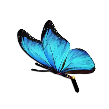 Модерен брой с пеперуда, ярък външен вид, привлекателен, лесен за инсталиране, въведете във формата на пеперуда, декоративен знак