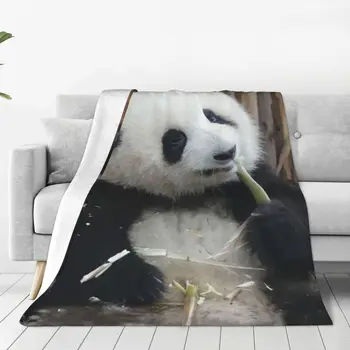 Одеяло с животни под формата на панда Хуахуа, леки, дишащи всесезонни удобни одеяла за луксозно спално бельо, декорация на стаята